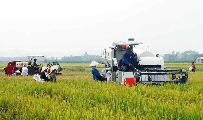 Nguồn vốn chính sách luôn kịp thời đến với người nghèo