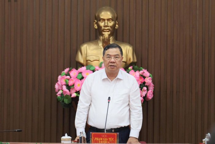 Phó Thủ tướng Thường trực Chính phủ Phạm Gia Túc phát biểu tại buổi làm việc