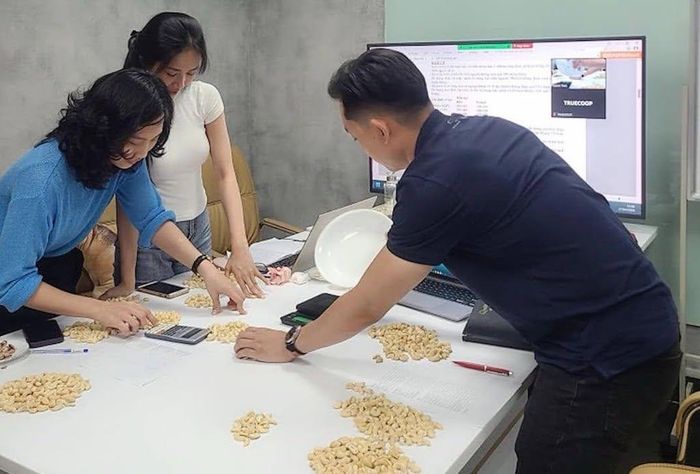 Liên kết HTX - doanh nghiệp thúc đẩy ứng dụng công nghệ, chuẩn hóa vùng nguyên liệu và bảo hộ sở hữu trí tuệ cho nông sản Khánh Hòa.