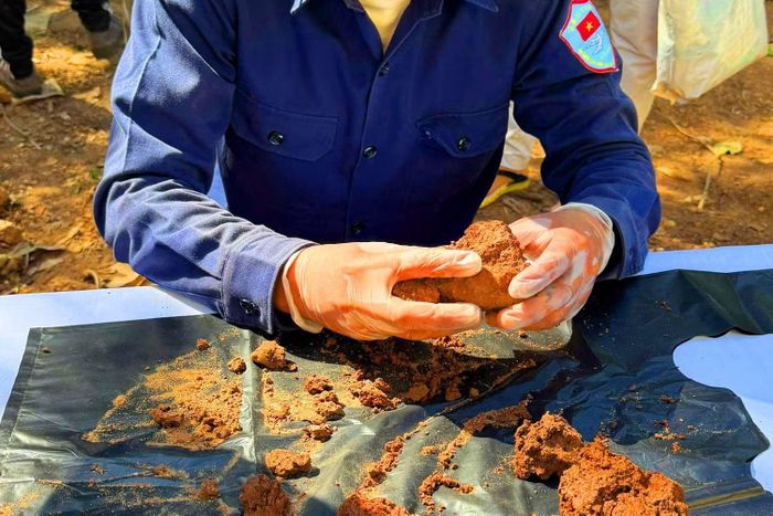 Mọi công tác thu thập mẫu, thông tin được thực hiện cẩn thận, tỉ mỉ, chính xác.