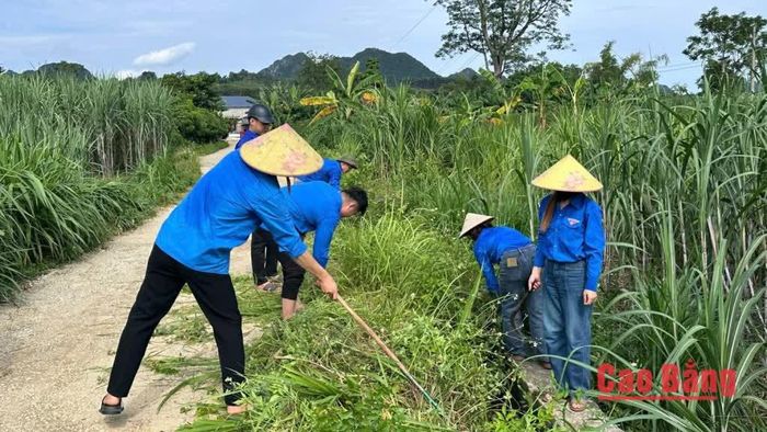 Đoàn viên, thanh niên xã Phục Hòa phát quang, vệ sinh tuyến đường tại xóm Hòa Chung.