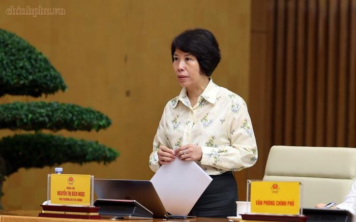Thứ trưởng Bộ Tài chính Nguyễn Thị Bích Ngọc phát biểu. Ảnh: chinhphu.vn
