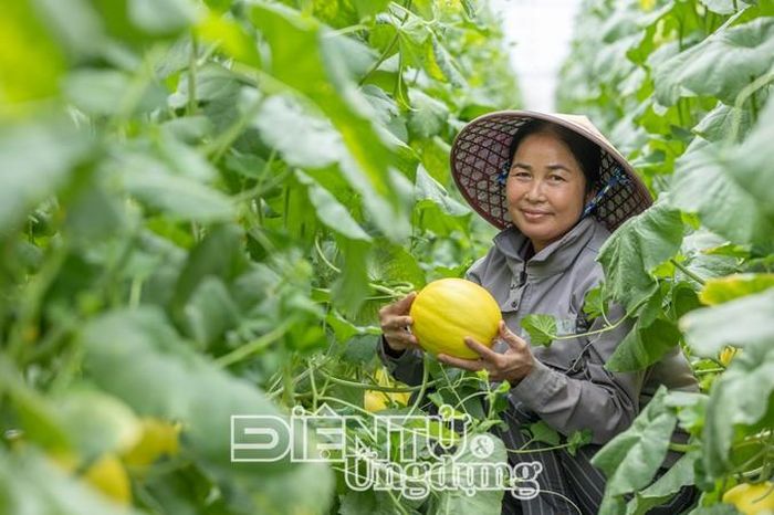 Thành công của Dự án “Tăng trưởng doanh nghiệp của tôi” là minh chứng cho thấy những kết quả tích cực khi khu vực công, lĩnh vực tư và các tổ chức phát triển cùng chung tay vì một mục tiêu chung