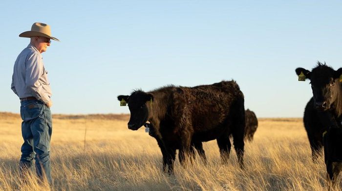 Hiệp hội Chăn nuôi gia súc New Mexico cùng nhiều chủ đất cho rằng quá trình tham vấn ban đầu chưa cung cấp đầy đủ thông tin về phạm vi dự án và quyền lợi của người bị ảnh hưởng