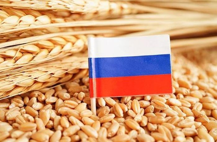 Nga hiện là nước xuất khẩu lúa mì lớn nhất thế giới, trong khi Ukraine cũng nằm trong nhóm nhà cung cấp ngũ cốc hàng đầu