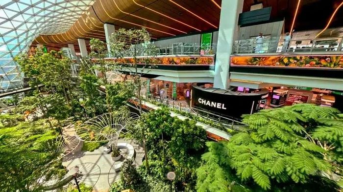 Với kiến ​​trúc hiện đại và các tác phẩm nghệ thuật chất lượng như trong bảo tàng, Hamad mang đến cảm giác gần giống một phòng trưng bày nghệ thuật đương đại hơn là nhà ga truyền thống. (Ảnh: Visit Qatar)