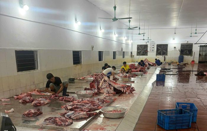 Điểm giết mổ tập trung tạm thời tại Công ty TNHH Chăn nuôi và Chế biến thực phẩm Trung Nghĩa được cấp phép hoạt động. Ảnh: Phương Hoa
