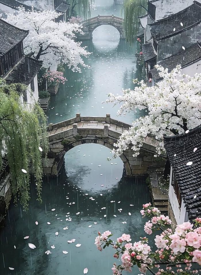 Người sinh giờ Thìn Âm lịch cũng được cho là có vận quý nhân khá tốt. Ảnh minh họa