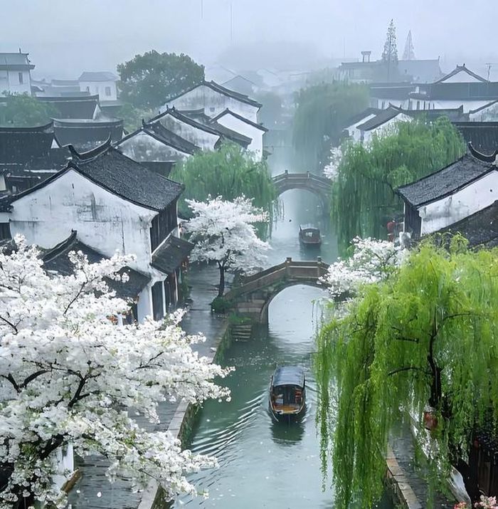 Đường công danh của người sinh vào khung giờ Tý Âm lịch được cho là dễ có quý nhân đồng hành. Ảnh minh họa