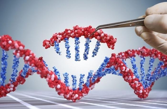  Công nghệ gene và máy tính thế hệ mới đang mở ra một hướng tiếp cận đầy hứa hẹn trong điều trị ung thư. Ảnh: Nature. 