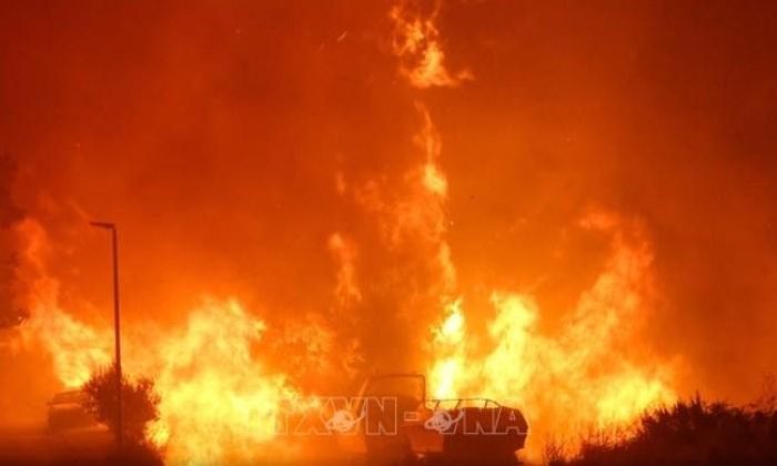 Cháy rừng đang diễn biến phức tạp tại châu Âu. Ảnh: TTXVN