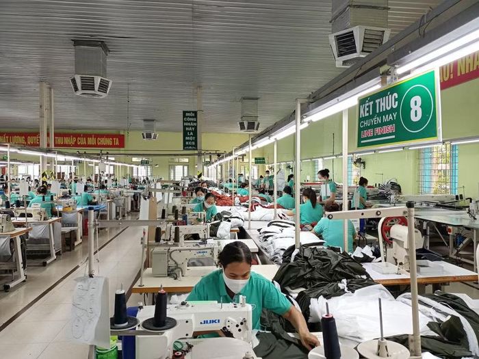 Sản xuất hàng dệt may xuất khẩu tại Tổng công ty cổ phần Dệt may Nam Định.