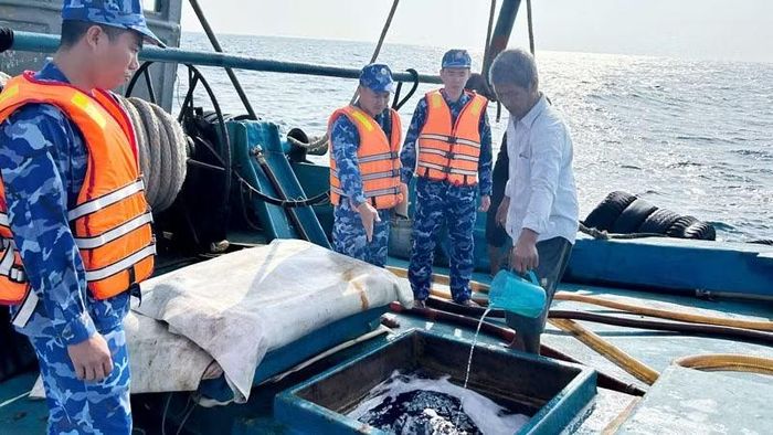 Lực lượng chức năng Bộ Tư lệnh Vùng Cảnh sát biển 4 kiểm tra hàng hóa trên tàu TG 91467-TS. (Ảnh: BỘ TƯ LỆNH VÙNG CẢNH SÁT BIỂN 4)