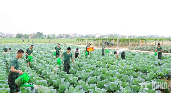 Chiến sĩ Trung đoàn 141 tăng gia sau giờ huấn luyện. 