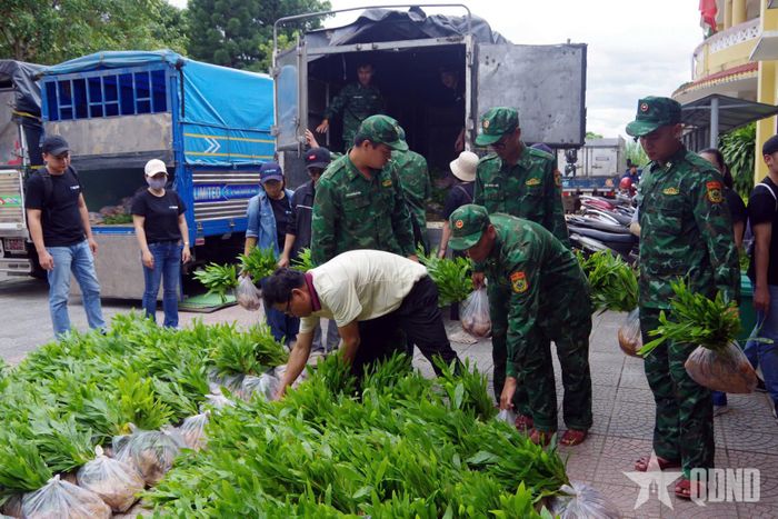 Cán bộ, chiến sĩ vận chuyển cây giống.