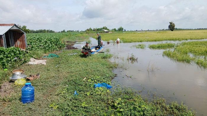  Ruộng của ông Hiếu nằm trong khu vực trũng, thấp nên chịu ảnh hưởng nặng khi lũ đầu mùa đổ về 