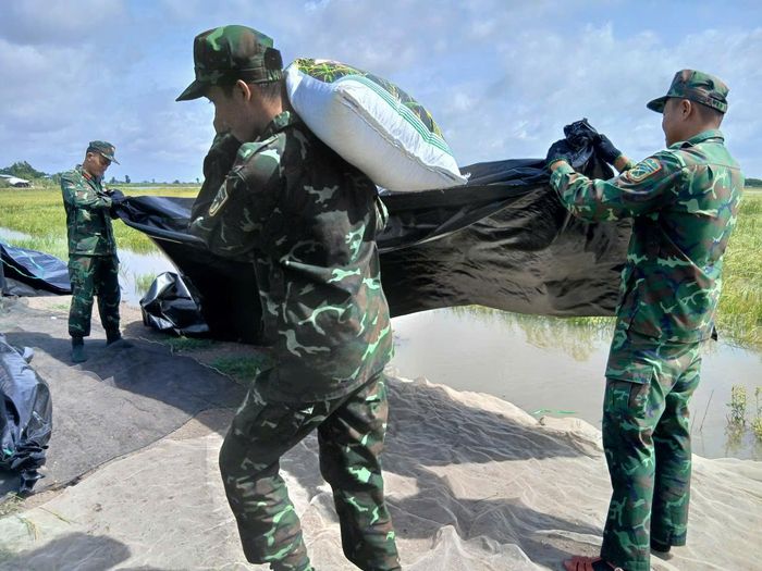  Lúa sau khi thu hoạch được đóng bao rồi chuyển đến nơi bảo quản 