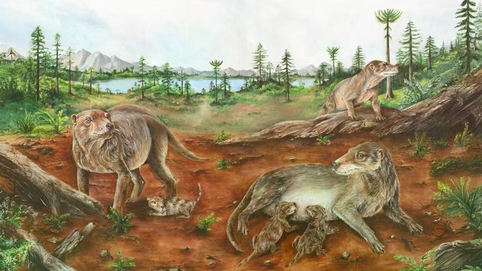 Những bà mẹ kỷ Tam Điệp - Loài động vật có vú, sinh con đầu tiên. Minh họa của María de los Ángeles Miceli Baro