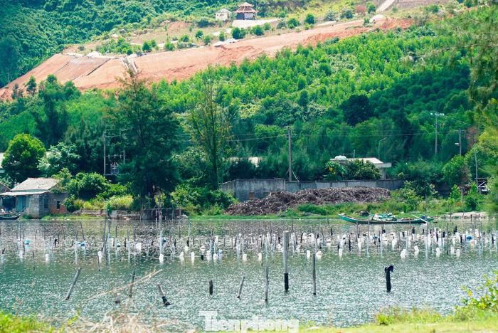 Đầm Lập An với hệ thống cọc giá thể, lồng nuôi thủy sản dày đặc trên nhiều vùng mặt nước cần được sắp xếp nhằm phục hồi môi trường sinh thái, cảnh quan. Ảnh Ngọc Văn