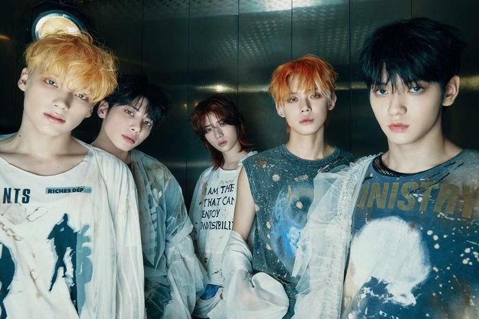 BTS, Seventeen, TWICE, Tomorrow X Together... là những nhóm nhạc top đầu Kpop hiện nay.