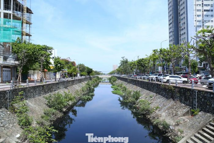 Lòng kênh bị bồi lấp bởi bùn, cát, đất đá và cỏ cây phát triển dày cũng khiến khả năng tiêu thoát nước bị hạn chế.