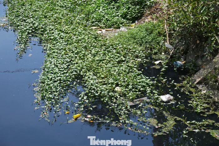 Tại nhiều vị trí, nước trong kênh chuyển màu đen, nổi váng, sủi bọt và bốc mùi hôi. Những ngày nắng nóng, mùi hôi càng trở nên nồng nặc.