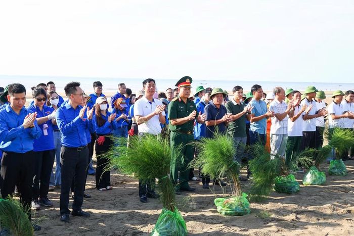 2.000 cây phi lao được trao tặng cho phường Sầm Sơn, Thanh Hoá trồng dọc bãi biển