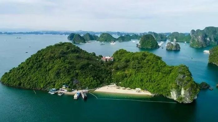 Quảng Ninh nghiên cứu phương án đấu thầu khai thác vịnh Hạ Long.
