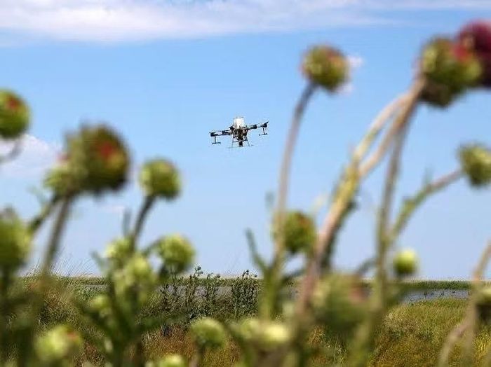 Trong 1 tháng thí điểm hệ thống, lực lượng chức năng ghi nhận 597 drone hoạt động trong vùng kiểm soát sân bay Đà Nẵng. Ảnh: Internet.