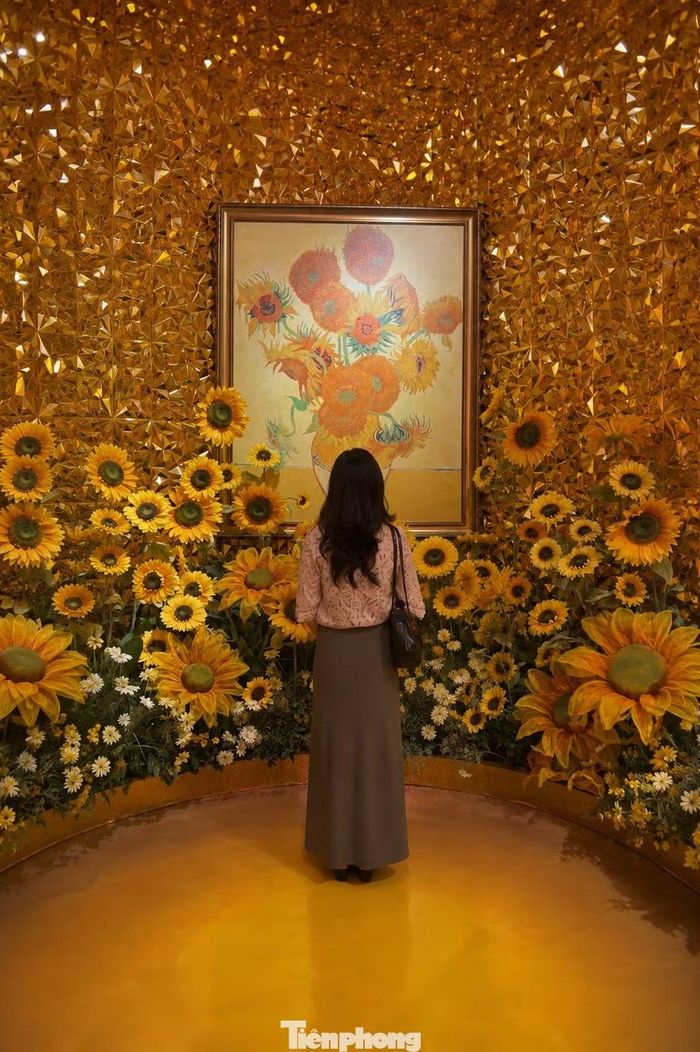 Hệ thống máy chiếu được bố trí quanh không gian, tạo nên những bề mặt hình ảnh có kích thước lớn. Tranh không chỉ xuất hiện trên tường mà còn trải xuống sàn, bao quanh người xem.