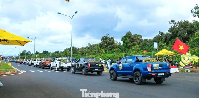 Đoàn xe lần lượt rời Quảng trường Tân An, hòa mình vào đoàn xe chở sầu riêng nối dài.