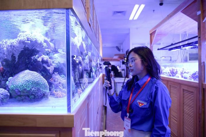 Đoàn công tác tham quan, trải nghiệm phòng nghiên cứu nuôi cấy và bảo tồn san hô thuộc Học viện Khoa học Biển - Đại học Quảng Tây.
