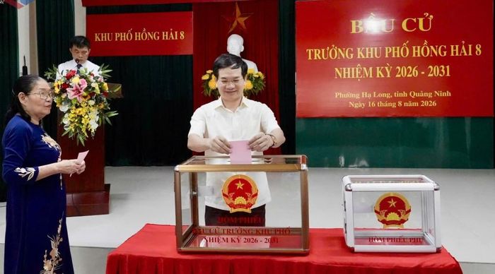 Tại Nhà văn hóa khu Hồng Hải 8, phường Hạ Long, lễ khai mạc bầu cử trưởng khu phố nhiệm kỳ 2026-2031 diễn ra trang trọng, dân chủ. Đồng chí Vũ Quyết Tiến, Phó Bí thư Tỉnh ủy, Chủ tịch Ủy ban Mặt trận Tổ quốc Việt Nam tỉnh Quảng Ninh, cùng lãnh đạo UBND phường Hạ Long dự và thực hiện những lá phiếu đầu tiên.