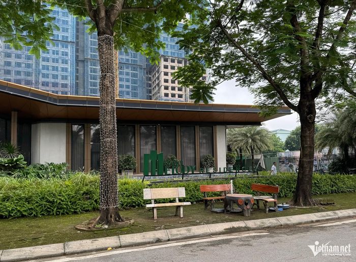 Nhà mẫu dự án.
