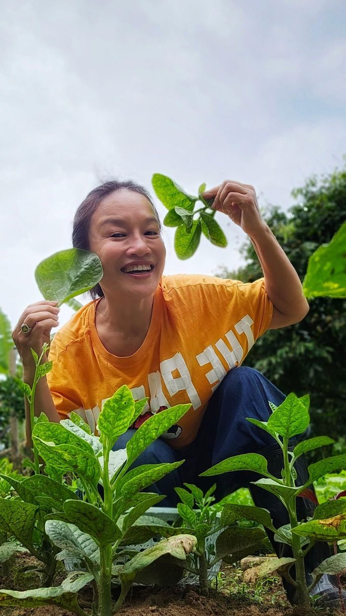 Tú Oanh tận hưởng niềm vui bên hoa trái trong vườn nhà.