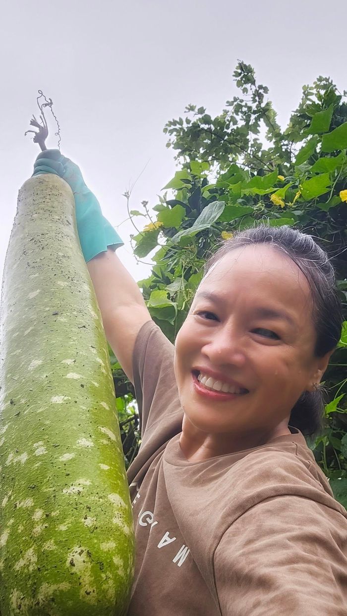 Tú Oanh khoe niềm vui khi thu hoạch quả trong vườn nhà.