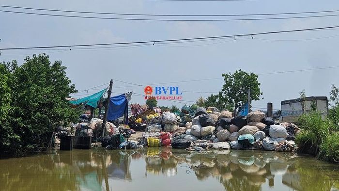 Các bao tải được chất ngổn ngang, nhếch nhác.