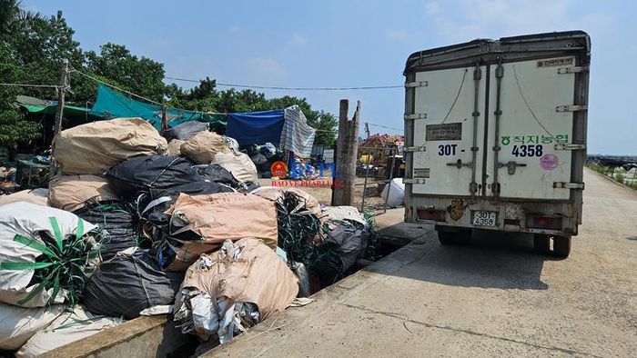 Chủ cơ sở cho tập kết ngay trên mương thoát nước thủy lợi, xe ô tô tải ngang nhiên đỗ ngược chiều.