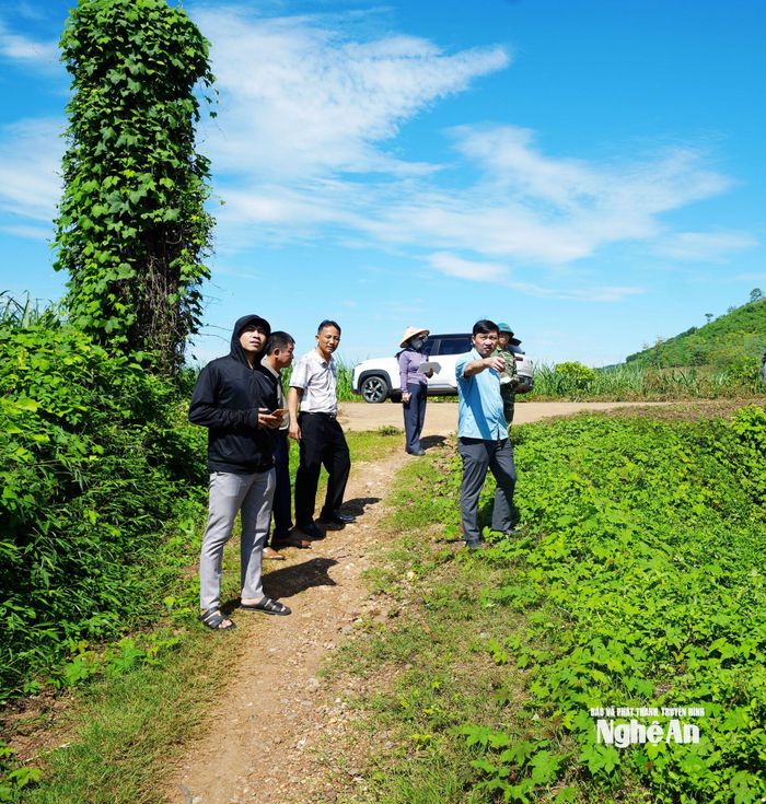 Ông Nguyễn Nam Phương - Bí thư Đảng ủy, Chủ tịch HĐND xã Nghĩa Mai và lãnh đạo UBND xã khảo sát các tuyến đường đất trên địa bàn xã. Ảnh: Mai Hương
