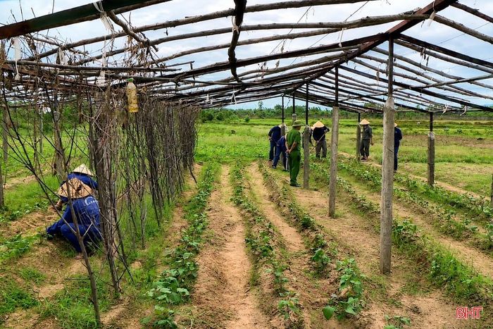 Các học viên cai nghiện bắt buộc tại Cơ sở cai nghiện ma túy tỉnh Hà Tĩnh trong giờ lao động.