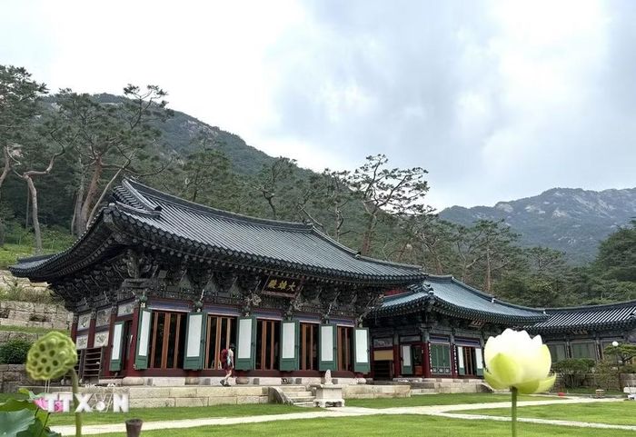 Chùa Jingwansa dưới chân núi Bukhansan, có lịch sử gần 1.000 năm, là điểm đến nổi tiếng về văn hóa và Phật giáo truyền thống Hàn Quốc. (Ảnh: Nhật Hưng/TTXVN)