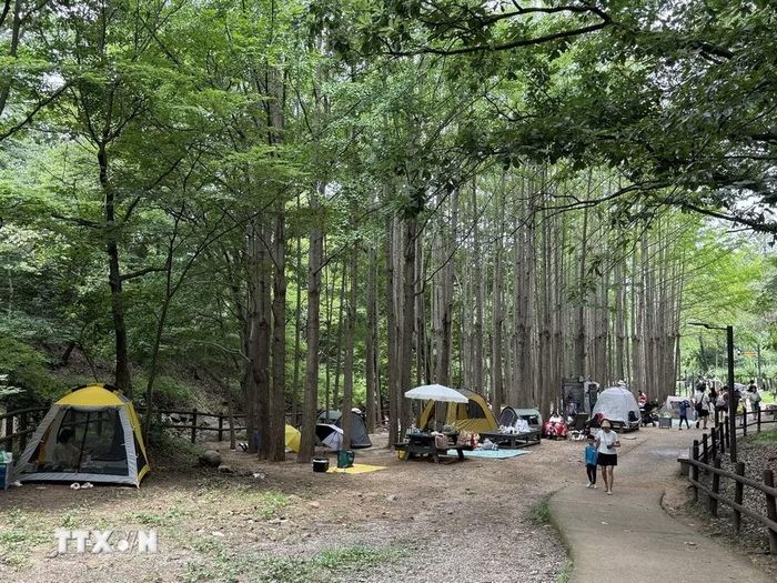 Hình ảnh người dân cắm trại trong khuôn viên làng Hanok Eunpyeong dưới chân núi Bukhansan. (Ảnh: Nhật Hưng/TTXVN)