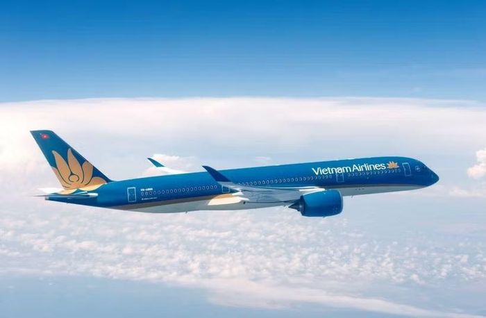 Máy bay thân rộng của Hãng hàng không Vietnam Airlines. (Ảnh: PV/Vietnam+)