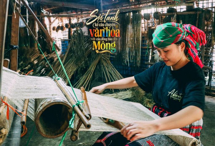 Nhiều bạn trẻ ở Lùng Tám học và thực hành nghề dệt lanh truyền thống, góp phần gìn giữ nét đẹp văn hóa của dân tộc Mông.