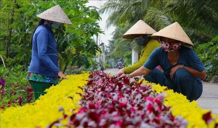 Phụ nữ cần thơ khẳng định vai trò nòng cốt trong phát triển kinh tế xanh, xây dựng không gian xanh.