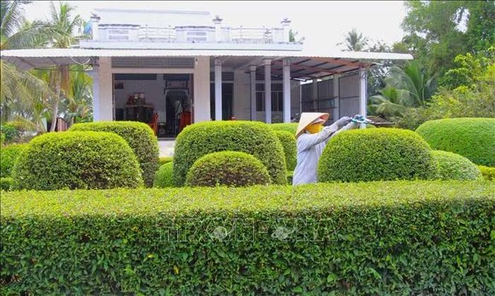 Phụ nữ Cần Thơ khẳng định vai trò nòng cốt trong phát triển kinh tế xanh, xây dựng không gian xanh.