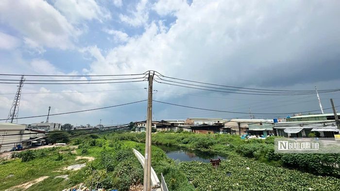 Dưới lòng kênh, dòng nước tù đọng váng bẩn, nhiều đoạn cây cỏ dại và cây mắt mèo mọc cao quá đầu người, che lấp các hạng mục đang làm dở.