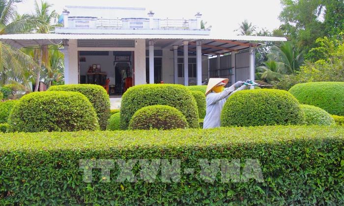 Phụ nữ cần thơ khẳng định vai trò nòng cốt trong phát triển kinh tế xanh, xây dựng không gian xanh. Ảnh: Nguyễn Hằng - TTXVN