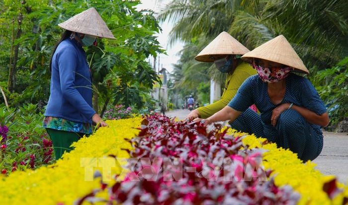 Phụ nữ cần thơ khẳng định vai trò nòng cốt trong phát triển kinh tế xanh, xây dựng không gian xanh. Ảnh: Nguyễn Hằng - TTXVN
