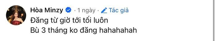 Phần bình luận giải thích của Hòa Minzy. Ảnh chụp màn hình FBNV